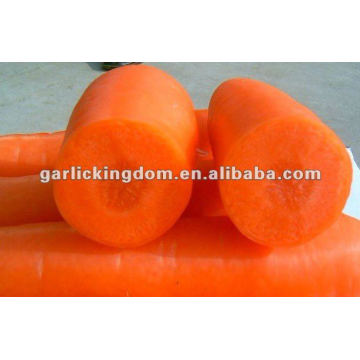 Новые собранные китайские свежие овощи и морковь